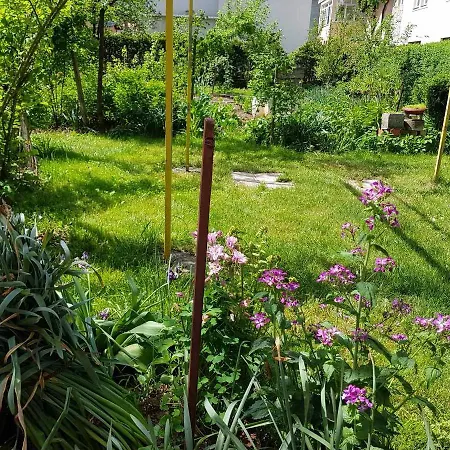 Appartement Emina *